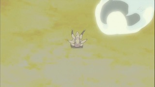 xy (176)