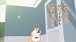 muco (29)