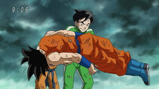cap (8)
