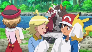 xy (47)
