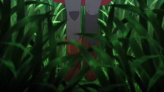 xy (77)