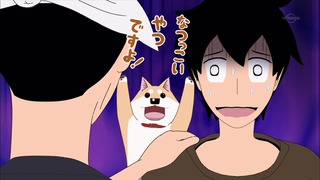 muco (16)