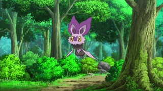 xy (81)