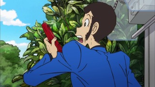 cap (81)