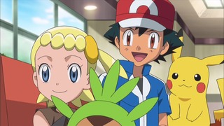 xy (78)