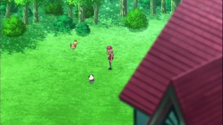 xy53 (88)