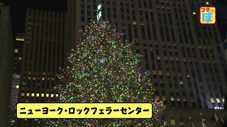 cap (13)