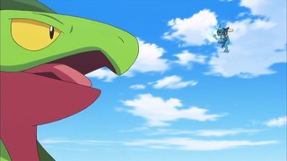 xy (169)