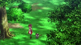 xy (27)