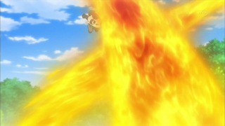 xy (8)
