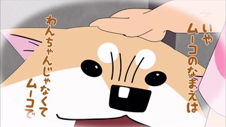 muco (22)