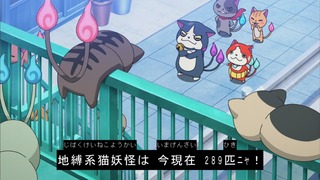 cap (221)