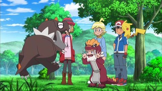 xy (34)