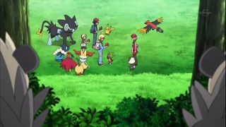 xy (12)