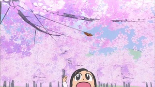 muco (45)