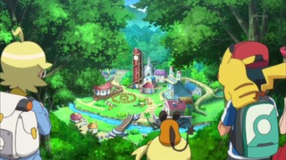 xy (173)