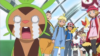 xy (15)