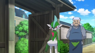 xy (175)