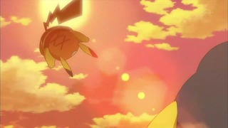xy (337)