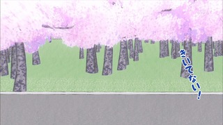 muco (39)