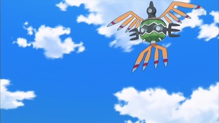 xy (239)