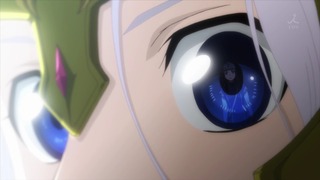 cap (113)