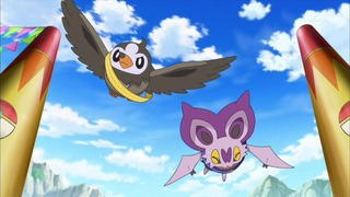 xy (149)