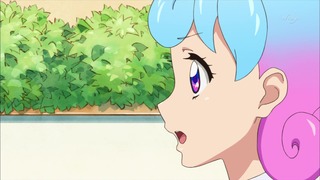 cap (246)