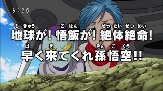 cap (117)