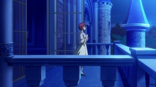 cap (107)