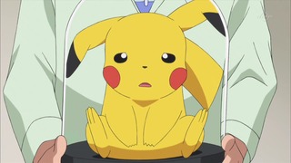 xy (21)