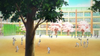 246