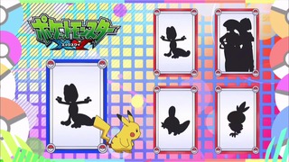 xy (81)
