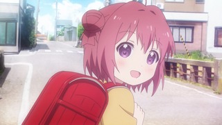 yy-231