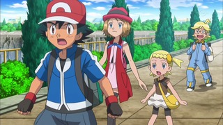 xy (144)