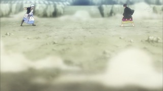 cap (239)