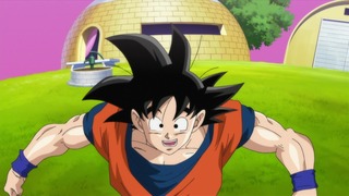 355
