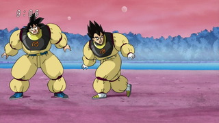 cap (12)