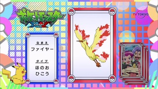 xy (65)