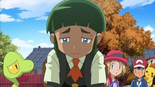 xy (44)