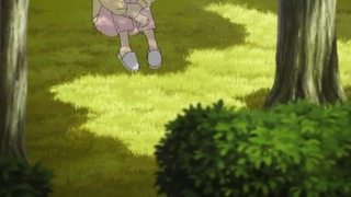 cap (135)