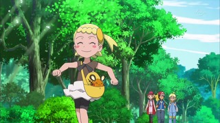 xy (149)