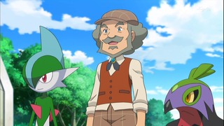 pokemon51 (250)
