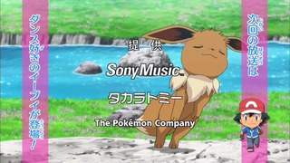 xy (246)