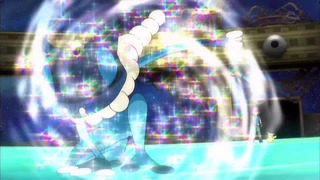 xy (23)