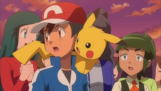 xy (113)