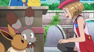 xy (7)