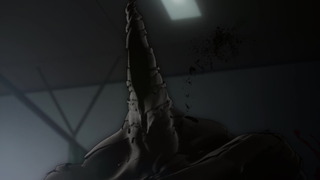 cap (16)