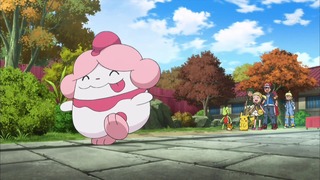 xy (62)