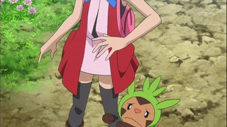 xy (60)